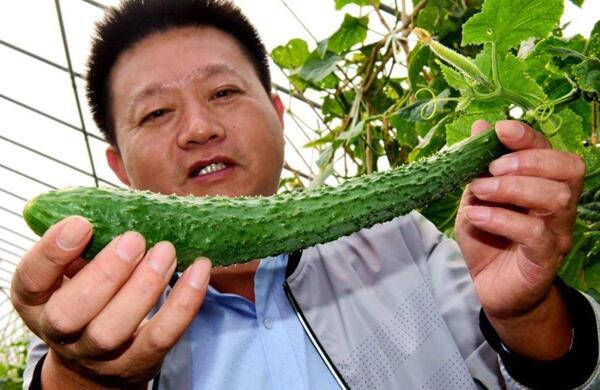 生鮮食材配送為什么大多不能與客戶建立長期合作？